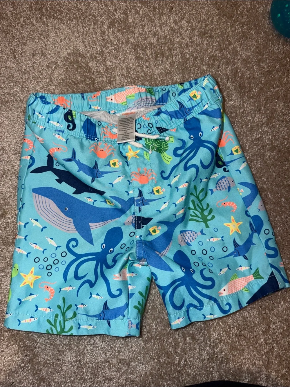 Boys Swim Trunks 4t, 5t and 5